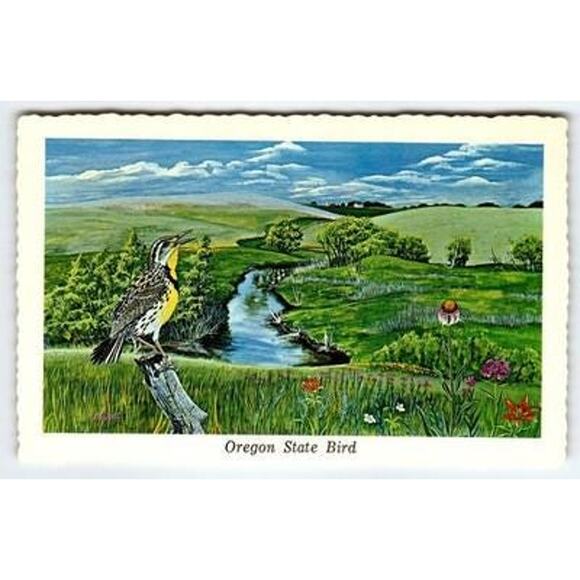 Vintage 1968 Oregon State Bird Western Meadowlark Postcard Signed Ken Haag - Picture 1 of 2